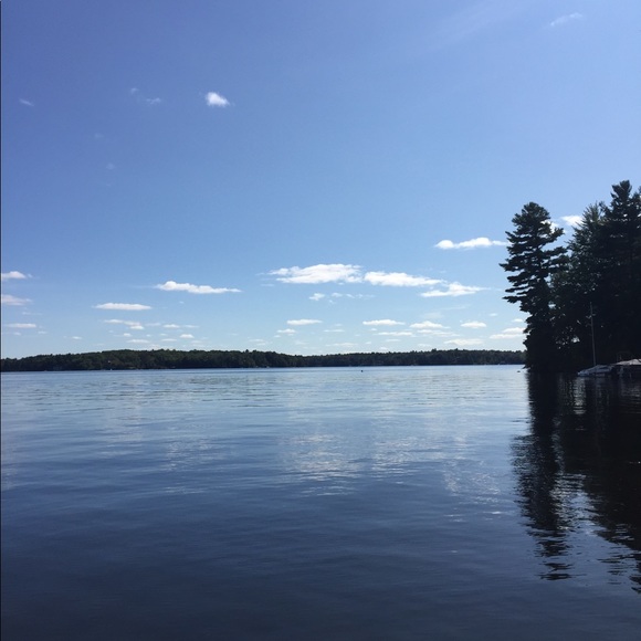 Meet your Posher, Dee - Picture 1 of 1